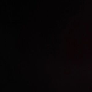 Long sleeved, cowl neck